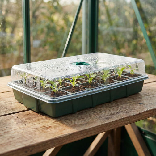 11982 • Palántanevelő szett tetővel - 37 x 23 x 9 cm