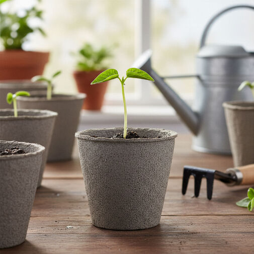 11986 • Palántanevelő cserép - Ø8 cm - kerek, papír - 10 db / csomag